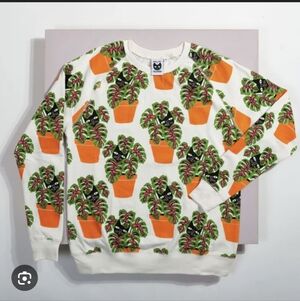 Baby Cats Of California Adult Cat In A Pot